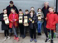 Bird boxes boost school’s eco-drive