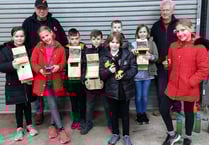 Bird boxes boost school’s eco-drive