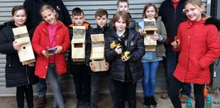 Bird boxes boost school’s eco-drive