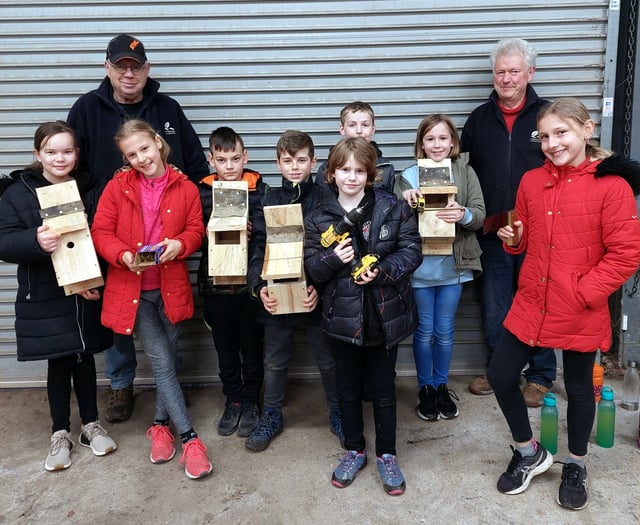 Bird boxes boost school’s eco-drive