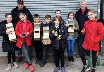 Bird boxes boost school’s eco-drive
