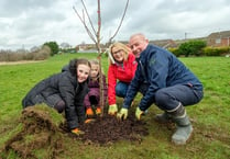 National Grid fund opens to support green spaces in Okehampton