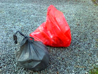 Worry over surging litter ‘epidemic’