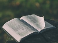 REFLECTIONS: God wants a relationship with us