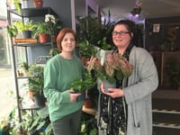 Tavistock Country Garden Show shares the green-fingered love