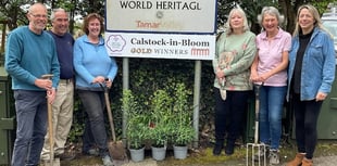 Calstock in Bloom awarded lottery grant