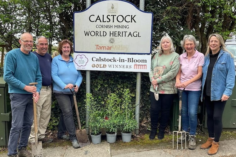 Calstock in bloom