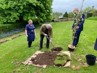 Sir Geoffrey Cox leads tree planting ceremony at Tavistock Hospital 