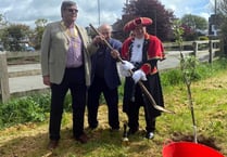 Coronation tree planting the first step towards orchard for town