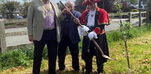 Coronation tree planting the first step towards orchard for town