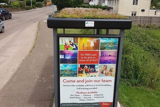 grass roof bus shelter