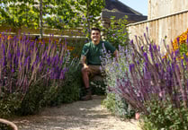 Ex-hotel gardener to be a small screen celebrity