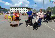 Dog show hailed a barking success