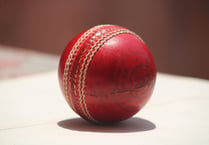 Cricket: Hatherleigh work hard for win
