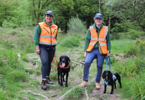 South West Water uses dogs to sniff out invasive species