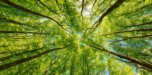 Have Your Say on how the region adapts to climate change

