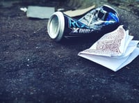 Litter pick volunteers appeal