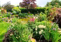 Mary Tavy gardens open in aid of St Luke’s