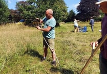 Burial ground volunteers