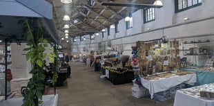 Tavistock Arts Market showcases unique art