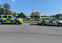 Man seized by police in Yelverton in lunchtime incident