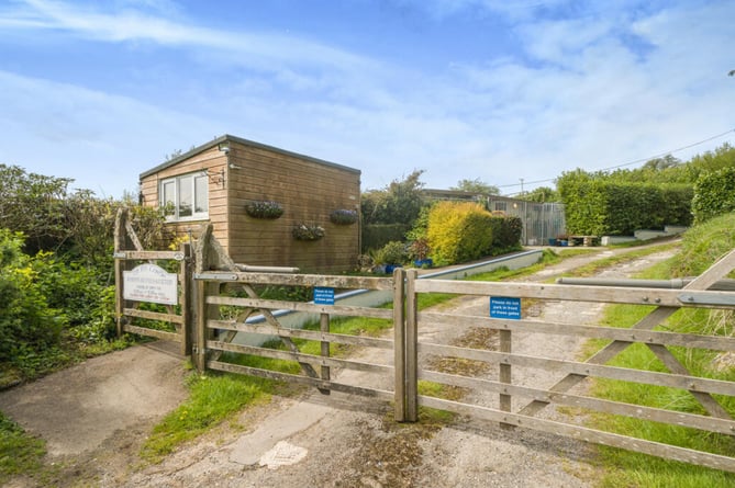 callington cattery