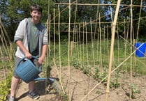 New allotments’ social benefits