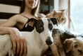 Animal Matters: Your monthly guide
