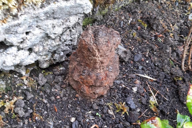 The grenade dug up in Princetown