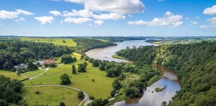 Big green event in Tamar Valley