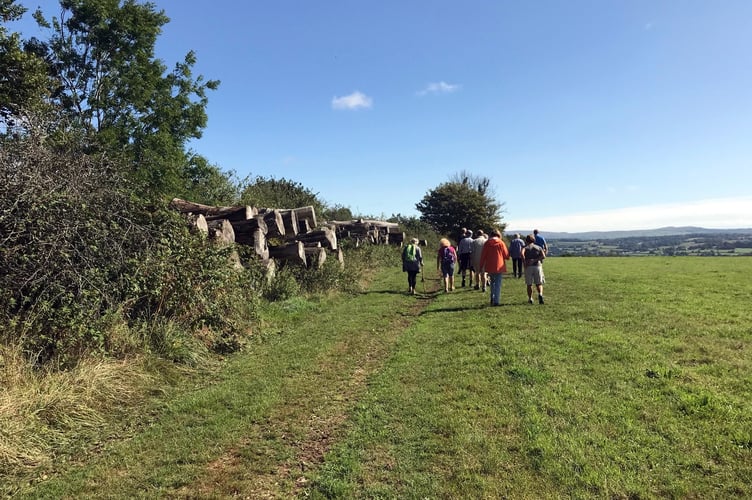 Tamar valley walk and talk