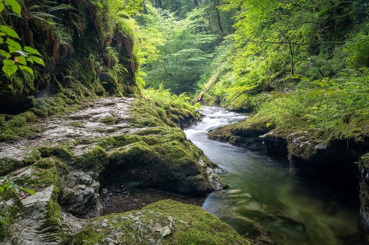 Lydford Gorge