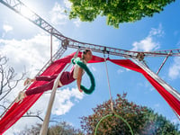 Alice takes to the skies for Adventures in Aerialand