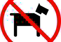 Council issues reminder about 'No Dogs' areas