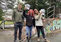 Tavistock skateboard park design ideas wanted