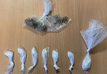 Police arrest driver for vehicle and drug offences 