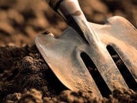 Council ask for community help