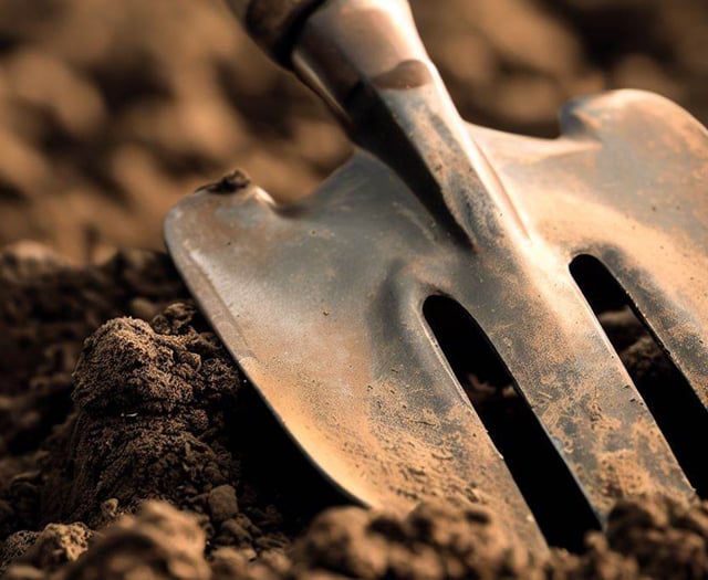 Council ask for community help