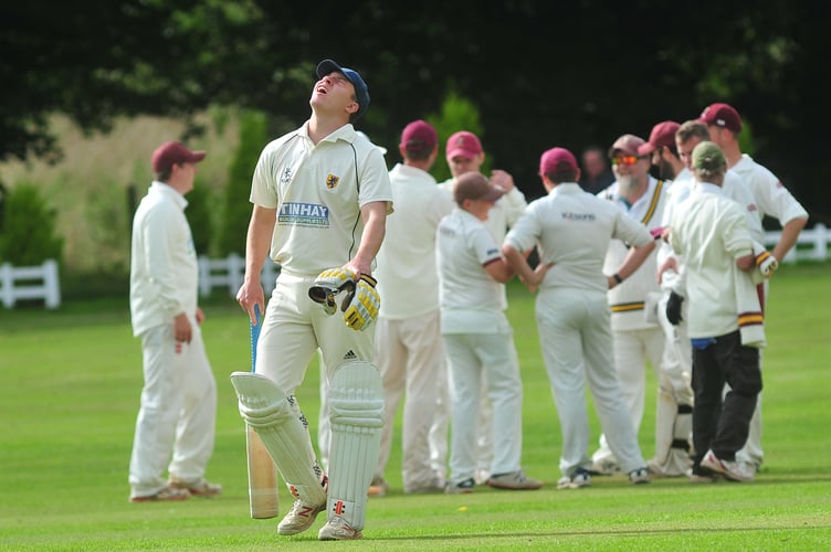 Devon Cricket League D Division West. Ipplepen 2nd XI versus Lewdown 1st XI. Not a happy chap - Lewdown's Harry Wiiliams after being caught out by Steve Bowden