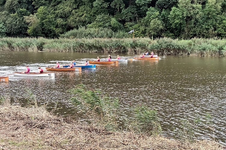 Calstock Regatta