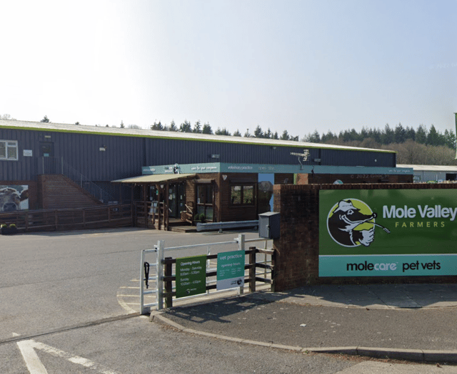 IT failure leaves Mole Valley Farmers paralysed