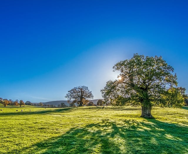 Mini heatwave set to hit Tavistock