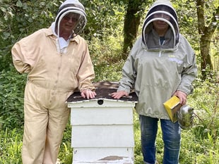 Keepers’ caution  over Asian hornet