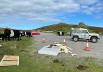 Rubbish cleared from Dartmoor beauty spots