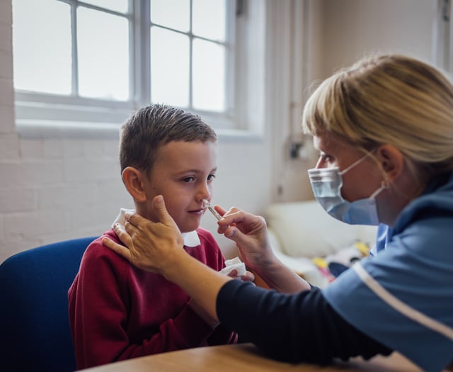 Parents urged to vaccinate young children against flu 