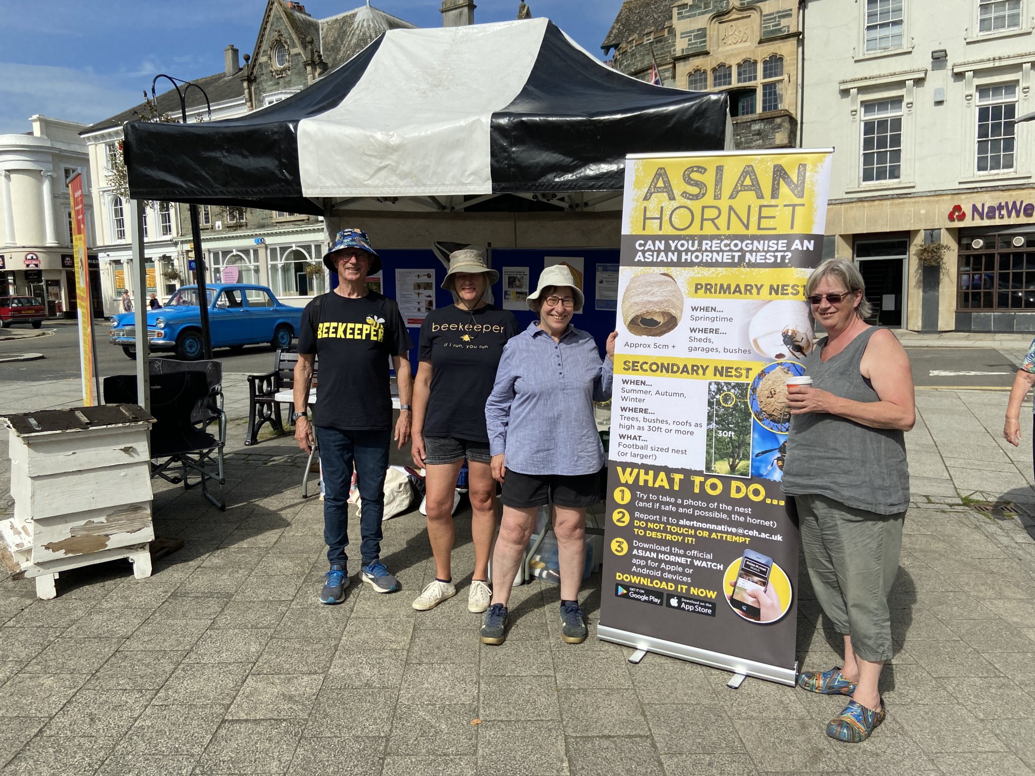Tavistock Beekeepers continue to spread warning words on Asian hornet