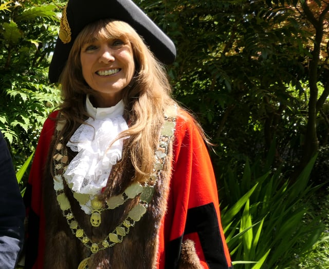 Mayor on the lookout for young green heroes