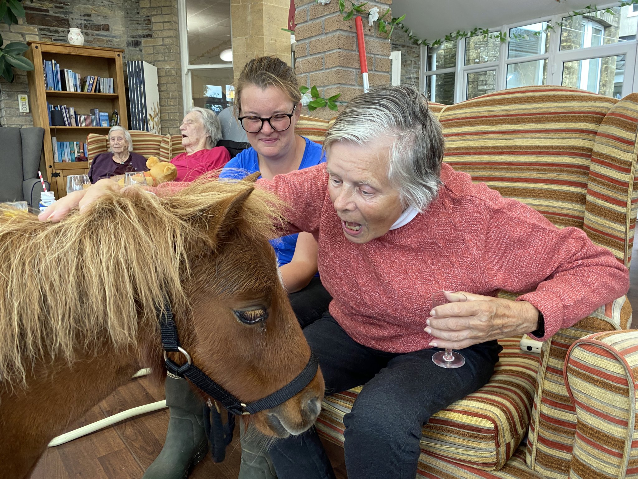 Therapy ponies bring smiles and memories to home