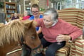 Therapy ponies bring smiles and memories to home