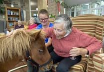 Therapy ponies bring smiles and memories at care home